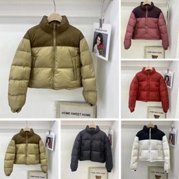 Womens Fashion Down Jacket north Winter Cotton Men Puffer Jackets Parkas with Letter embroidery Outdoor Jackets face Coat Streetwear Warm Clothe