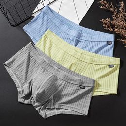 Underpants Mens Boxer Trunks Low Waist Sweat Breathable Shorts Peni Enhancing Pouch Panties Striped For Male Boxershorts