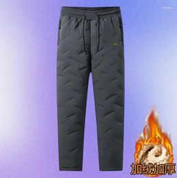 Men's Jeans Cotton Pants With Plush And Thickened Lamb Cashmere For Casual Versatile Winter Oversized Warm Sanitary Pant