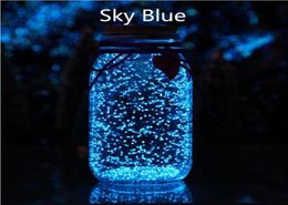 10g Sky Blue Luminous Toy DIY Bright Glow in the Dark Paint Wishing Bottle Fluorescent Particles Flare Power Night5669320