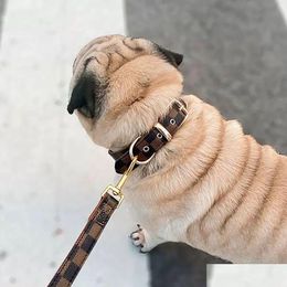 Dog Collars Leashes Presbyopia Comfortable Skin Feel Pu Leather Pet Collar Medium And Small Neck Cat Supplies Drop Delivery Home Garde Dhrwb