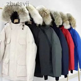 Puffer Jacket Feather Down Designer Mens Grey Green Womens Ladies Plus Size Windproof Embroidery Streetwear Outerwear Parkas LORLLORLLORL LORL