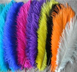 100pcslot 1416inch White black red light pink pink royal blue turquoise orange purple green Ostrich Feather Wedding centerpi1413344