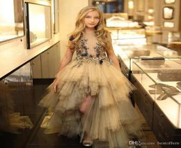 2020 Newest High Low Girls Pageant Dresses 3D Appliqued A Line Tiered Skirt Tulle Ruffles Kids First Communion Dresses Prom Party 7719760