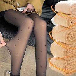 Socks Hosiery Women Dot Fleece Leggings Sexy Translucent Slim Pantyhose Elasticity Winter Warm Legging Thermal Tights Female Stockings Pants YQ240122