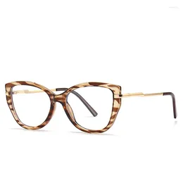 Sunglasses Frames Fashion Cat Eye Women Eyeglasses Transparent Retro Optical Spectacle Plastic Eyewear Frame TR9104