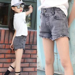 Shorts Arrival Candy Colour Baby Girls Cotton Mix Children Kids For Clothes Toddler Girl Clothing