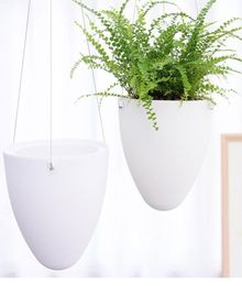 Mini White Lazy Flower Pot Plastic Succulent Plant Pots Water Hanging Pots Watering Garden Pots Planters Home Decoration T2001042894286