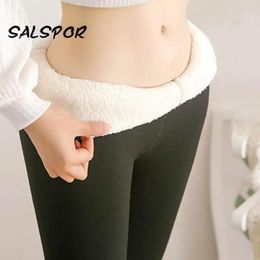 Capris Salspor 2xl Warm Winter Thick Leggings Women Wool Fleece Females Clothing Lambskin Cashmere Veet Pants Elasticity S2xl