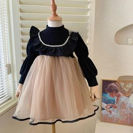 Girl Dresses Girls Dress Baby Clothes Toddler Spring Autumn Lace 1 2 3 4 5 Years Old