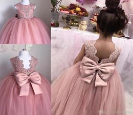 Blush Pink Toddler Pageant Dresses Sleeveless Pleats Tulle Ball Gown Lace Graduation Gowns Children Floor Length Open Back Flower 9340256