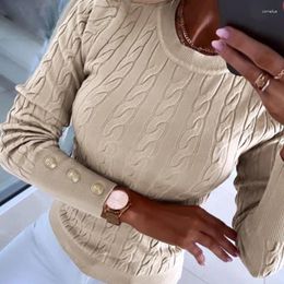 Women's Sweaters 2024 Spring Autumn Clothing Solid Color Twist Texture High Quality Round Neck Long Sleeve Sweater