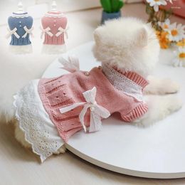 Dog Apparel Sweet Pet Clothes For Small Dogs Cats Shih Tzu Yorkshire Costumes Coat Jacket Puppy Sweater Princess Pets Outfits