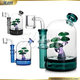 Mini 5.5 Inches Cloche Dab Rig Bonsai Tree Glass Bong Greeting Pine Percolaor Pipe with 14mm Quartz Banger for Dabbing