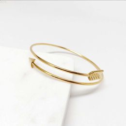 2023 Trendy Delicate Elegant Love Theme Jewelry Tarnish-free Stainless Steel Gold Silver Color Thin Chain Arrow Bangle
