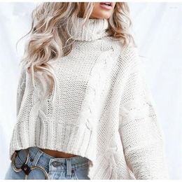 Women's Sweaters White Short Turtleneck Sweater Women Autumn Winter Knitted Jumper Casual Loose Long Sleeve Pullovers Female