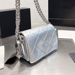 2022Ss Fall Winter France Womens Classic Mini Flap Quilted Bags Calfskin Underarm Silver Metal Chain Shoulder Handbag Large Capaci3097