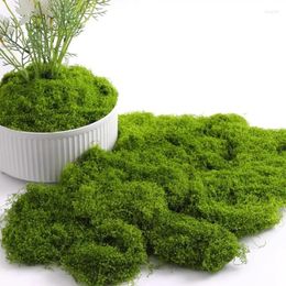 Decorative Flowers Eternal Life Moss DIY Crafts Grass Artificial Green Plants Home Room Garden Decor Mini Landscape Fake 50/100g