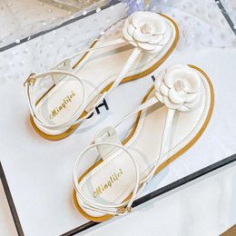 Sandals 2024 Camellia Flat Women Narrow Band Jandal Sandales Flower Decoration Thong Gladiator Sandalias Mujer Big Size 41-43