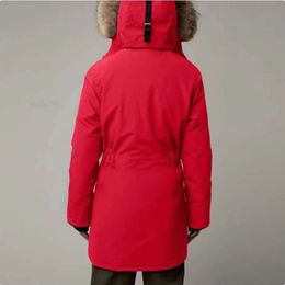 Cappotto da donna Piumino da donna Cappotto lungo in pelliccia Brangdy 90% piumino d'anatra Migliore versione Giacca impermeabile antivento