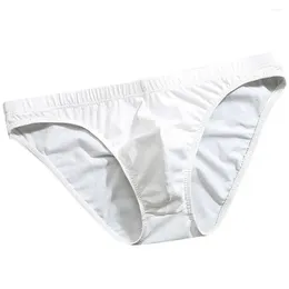 Underpants Breathable Men Underwear Briefs Semi Transparent Design Made Of Ice Silk Fabric Comfortable Fit Suitable For