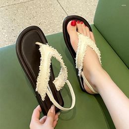 Sandals Flats Clip Toe Women Beach Flip Flops Shoes Summer Slippers 2024 Fashion Casual Dress Brand Slides Zapatillas Female