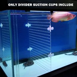 Tanks Aquarium Acrylic Divider Full Holes With 4pcs Suction Cup Free For Betta Fish Guppies Tank Black Blue Clear