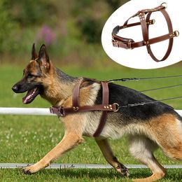 Leashes Pet Large Dog Harness Leather Pitbull Big Dog Harness Vest Adjustable For Medium Large Dogs Bulldog Rottweiler Labrador 2XL