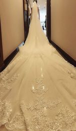 Cathedral Length Wedding Veils Custom Made Lace Applique Tulle Bridal Veil 5m Long women Accessories3948666