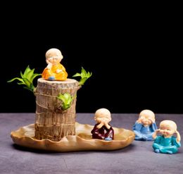 Cute Lucky Wood Plant Home Decor Brazil Wood Hydroponic Water Potted Tree Stump Mini Plant Indoor Office Home Desk Decor1824759