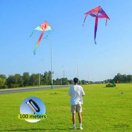Kite Accessories YongJian Delta Kite Fantasy series kites 6 styles kites for adults or children for beginners with outdoor toy kites Beach Kite