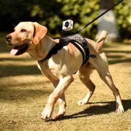 Harnesses Dog Harness Action Camera Gopro Pet Sports Video FPS Dog Chest Strap Shoulder Stabilizer for Medium Large Dog Pet Supplies