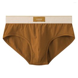 Underpants Mens Sexy Bikini Oversized Loose Cotton Breathable Briefs Comfortable Soft Panties Underwear Solid Colour Lingerie