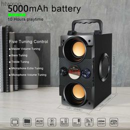 Portable Speakers Big Power Sound Outdoor Speaker with 40W Large Bass Radiator Portable Wireless TF Card Music Player YQ240124