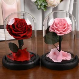 Decorative Flowers Preserved Real Roses In Glass Dome Valentines Day Gifts Eternal For Women Christmas Birthday Anniversary Gift