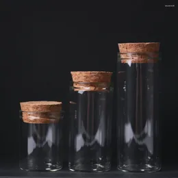 Decorative Figurines 10pcs Clear Glass Empty Storage Jar With Cork Stopper DIY Art Vial