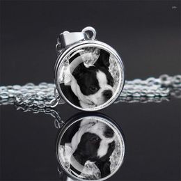 Pendant Necklaces Cute Pet Necklace Spherical Glass Dog Black And White Neck Hanging Jewelry Simple Fashionable
