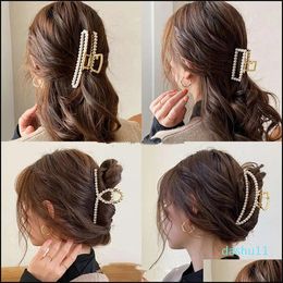 Other Fashion Aessories Small Card Clip Exquisite Hair Volume Back Brain Pin Adt Female Korean