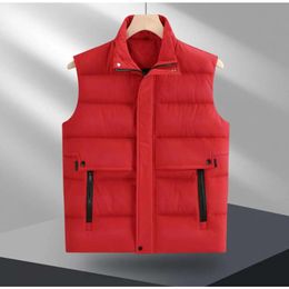 "Stylish and Functional Men's Designer Gilet Windbreaker Jacket - Insulated Sleeveless Vest with Printed Letters, Ideal for Outdoor Activities and Layering"