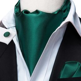 Green Solid Silk Ascot Cravat Tie Scrunch Self British style Gentleman Dress Scarves Ties Wedding Party Hanky Set HiTie 240122