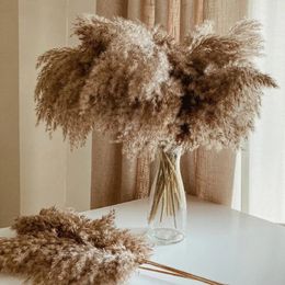 Decorative Flowers 30pcs Natural Pampas Grass Dried Flower Bouquet Real Reed Boho Wedding Decoration Backdrop Flores Artificial Home Decor