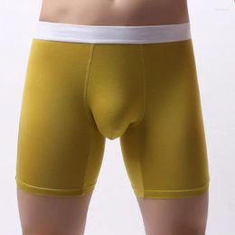 Underpants Long Men Underwear Mens Boxer Briefs Modal Man Brief Soft Breathable Sports Male 2024 Summer