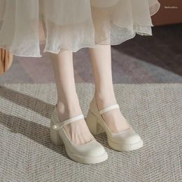 Dress Shoes White Mary Jane Lolita Japanese Students JK Female High Heel Uniform College Girl Platform Shoe Ladies Vintage Pumps