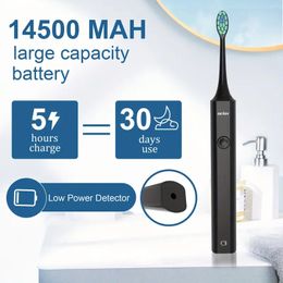Electric Water Flossers For Teeth, Whitening Dental Oral Irrigator With 5 Jet Tips & 10 Brush Heads, Cordless Waterproof Whitening Teeth Brush Kit At Home And Travel