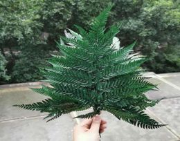 10pcsNatural Dried Fern LeavesEternelle frond Flower for Wedding Party Home Decoration accessoriesdisplay Floating bottle14901395