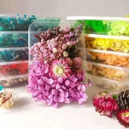 Faux Floral Greenery Mixed Natural Flowers For Making Mobile Phone Case Aromatherapy Crafts Epoxy Resin DIY Pendant Necklace Jewellery Craft New YQ240125