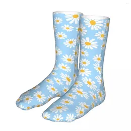 Men's Socks Daisy Flower Blue Woman 2024 Female Sports Sock
