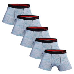 5pcs Pack 2023 Men Panties Cotton Underwear Male Brand Boxer And Underpants For Homme Luxury Set Sexy Shorts Box Slip Kit 240118