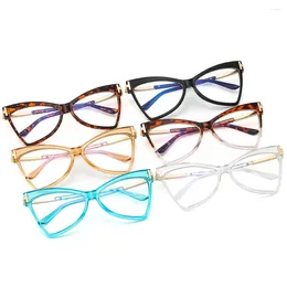 Sunglasses Cat Eye Model Lady Personality Frame T Decorative Flat Light Mirror Anti-Blue Glasses Can Be Equipped With Myopia