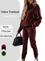 Women's Sweatsuit Set Velour Long Sleeve Hoodie and Pants Sport Sweat Suits 2 Piece Jogging Tracksuits Outfits S-XXXL 240124